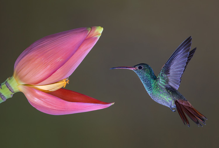 Poster Target practice