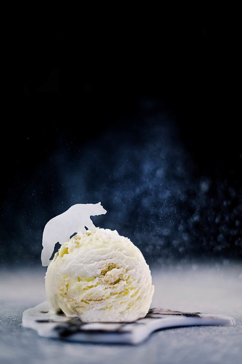 Poster Polar Bear (Powdered Sugar)