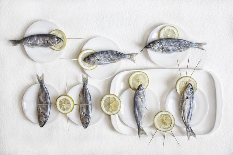 Levně Plakát, Obraz - Still Life with Fish, Dimitar Lazarov, 40 × 26.7 cm
