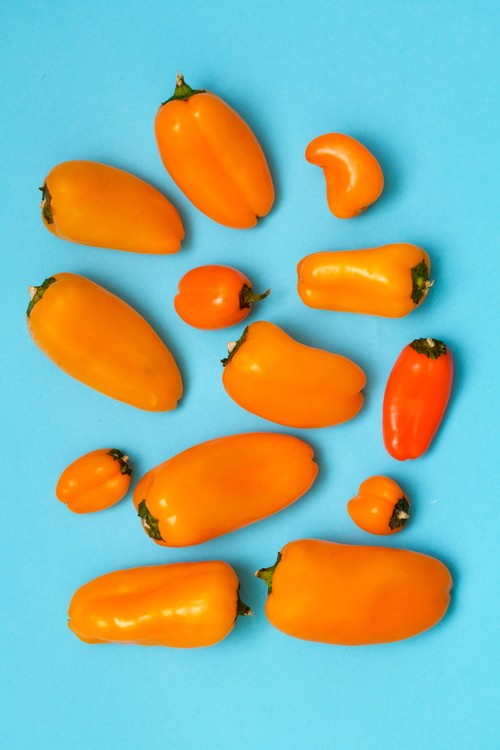 Poster Orange and blue