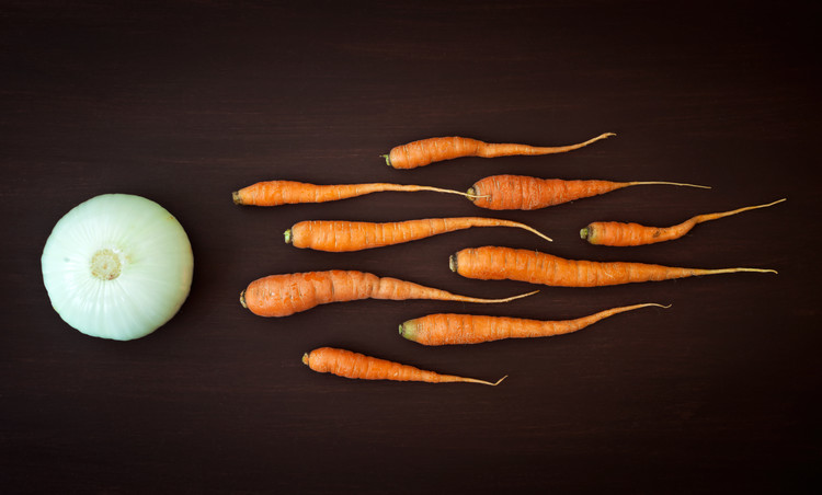 Poster Vegetable reproduction