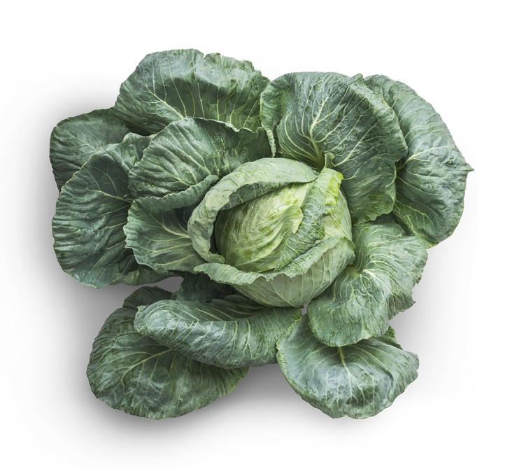 Poster Green Vegetable