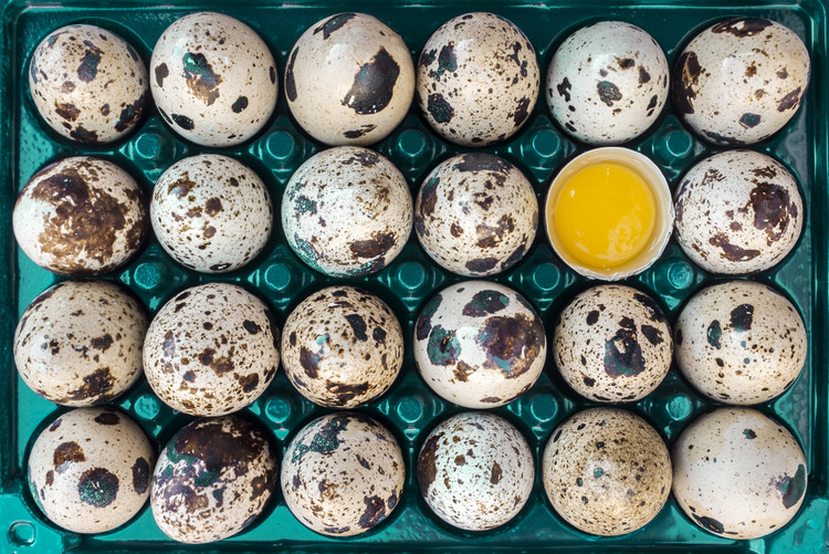 Poster Special egg