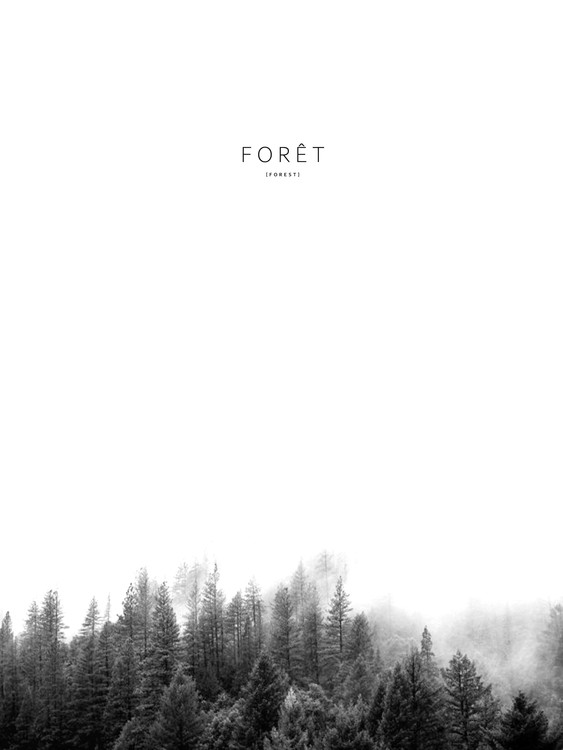 Poster foret3