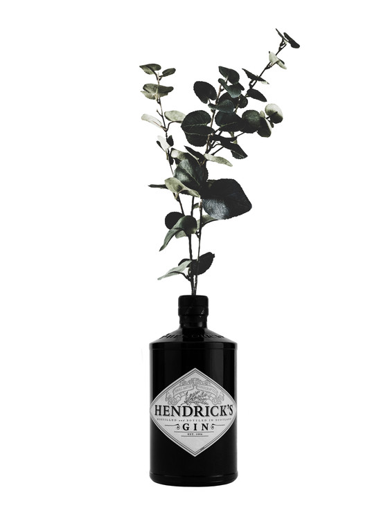 Canvas Print hendricks