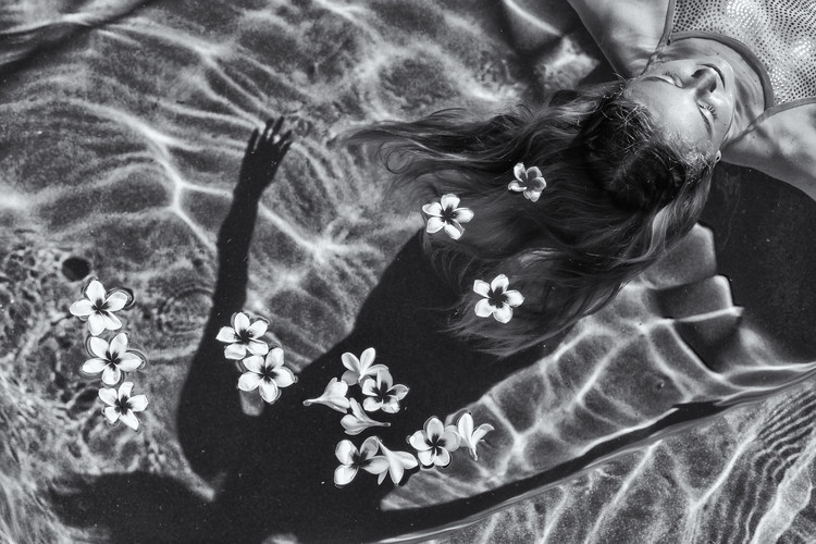 Canvas Print Frangipani tree