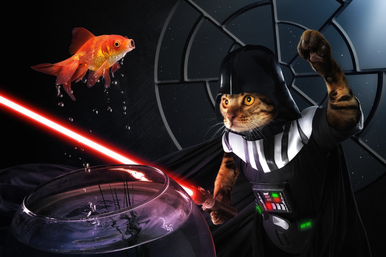 Levně Plakát, Obraz - Darth Sushi, Christophe Kiciak, 40 × 26.7 cm