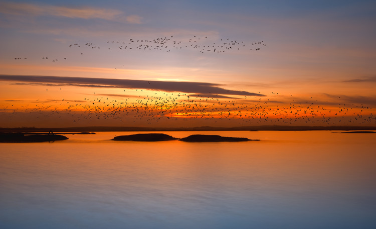 Plakat by sunset