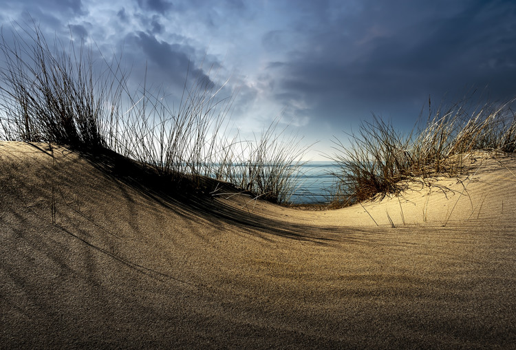 Levně Plakát, Obraz - Dunes..........., Wim Schuurmans, 40 × 26.7 cm