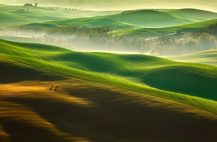 Canvas Print Freedom....