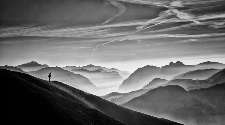 Levně Plakát, Obraz - Hunter in the fog BW, Vito Guarino, 40 × 22.2 cm