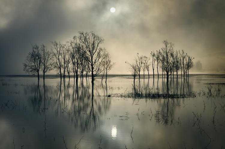 Levně Plakát, Obraz - Lake's Secret, joanne_flj, 40 × 26.7 cm