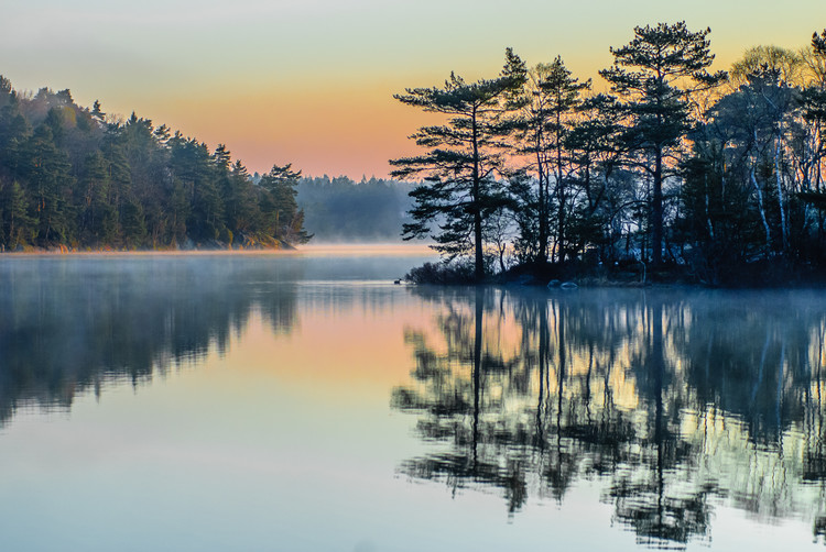 Poster Before people wake