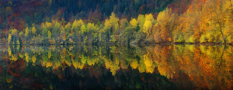 Bild auf Leinwand Autumnal silence