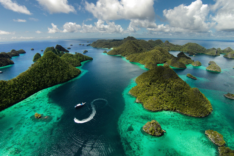 Poster Green paradise