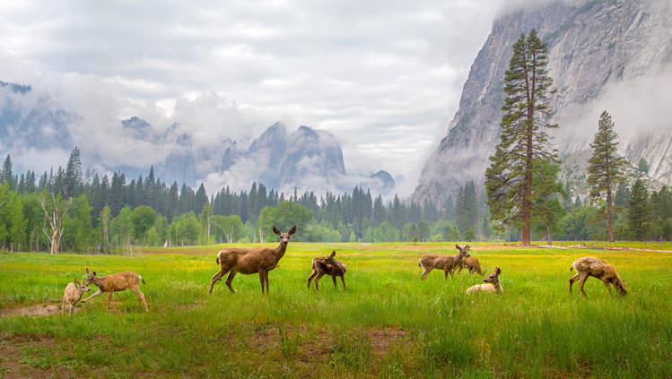 Poster A Feeling of Ancient Time