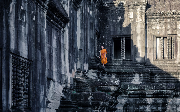 Poster The young monk