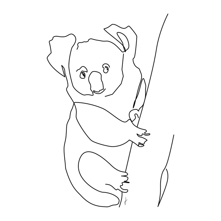 Levně Plakát, Obraz - Koala, Hugo Jurčík, 40 × 40 cm