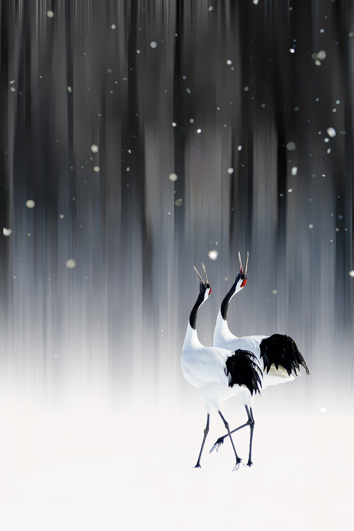 Canvas Print Happy New Year