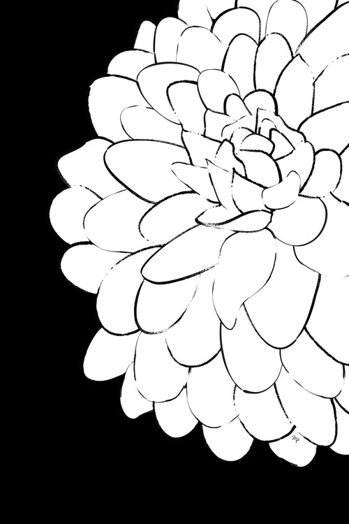 Plakat ChrysanthemumONEbySHP