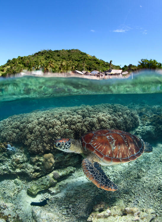 Canvas Print Along shore