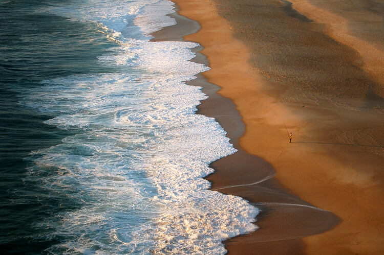 Poster Food for the Soul