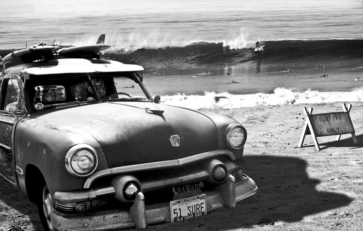 Canvas Print Old guys rule