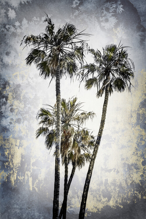 Poster MODERN ART Lovely Palm Trees