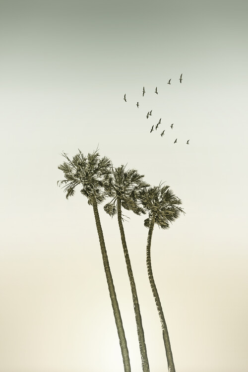 T-shirt Vintage palm trees at sunset