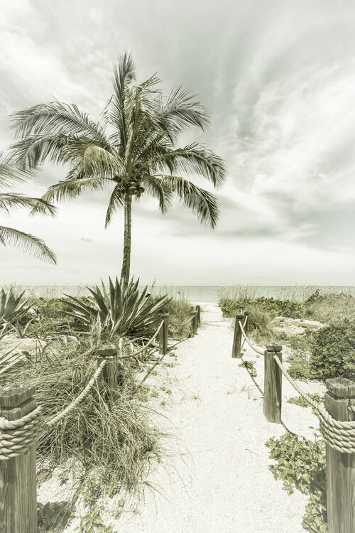 Canvas Print Path to the beach | Vintage