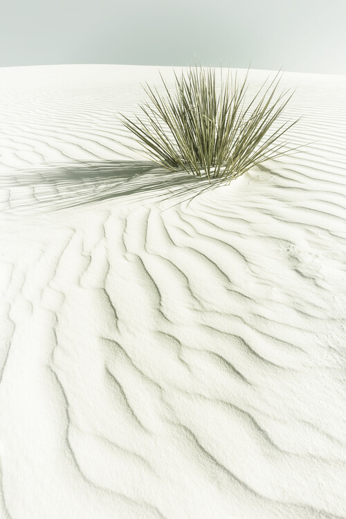 Canvas Print WHITE SANDS Vintage scenery