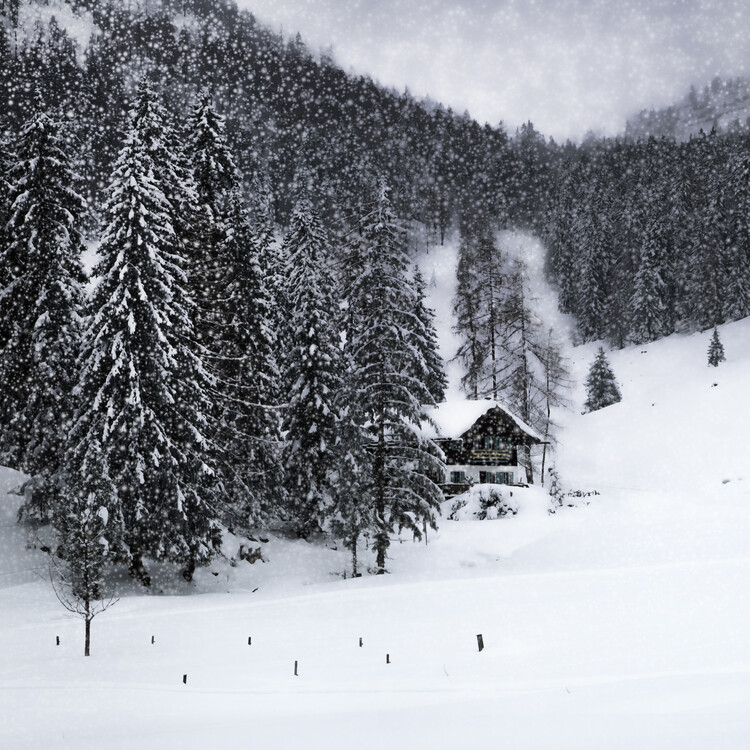 Poster Bavarian Winters Tale IX