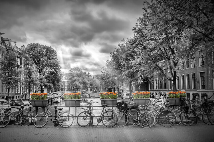 Levně Plakát, Obraz - AMSTERDAM Herengracht, Melanie Viola, 40 × 26.7 cm