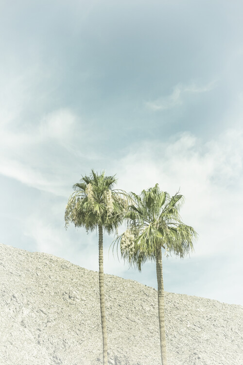 T-shirt Palm Trees in the desert | Vintage