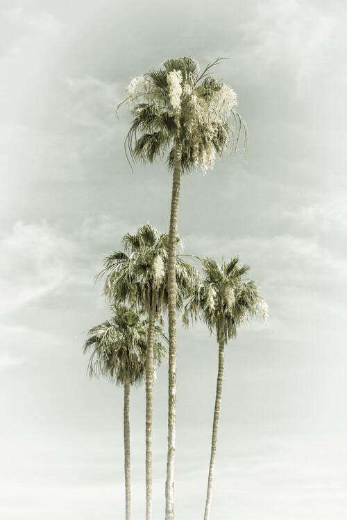 T-shirt Vintage Palm Trees Skyhigh