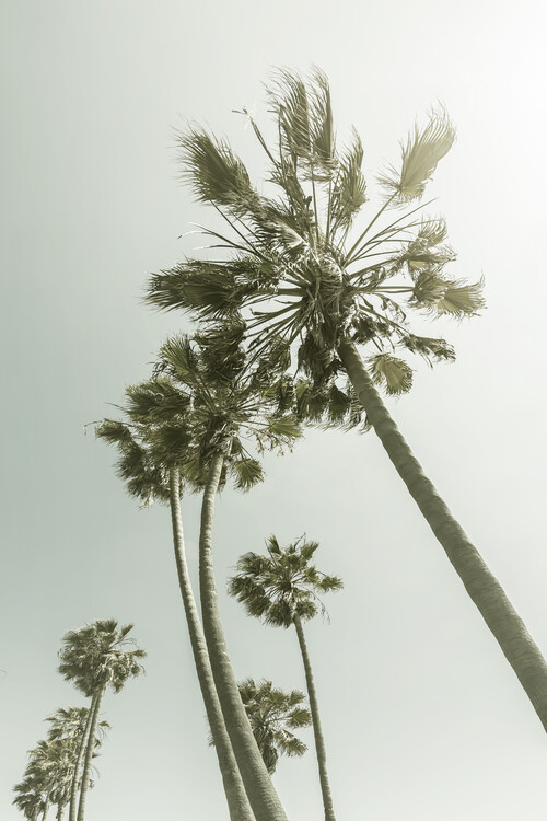 T-shirt Vintage Palm Trees in the sun