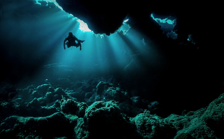 Canvas Print Visit to Aliens