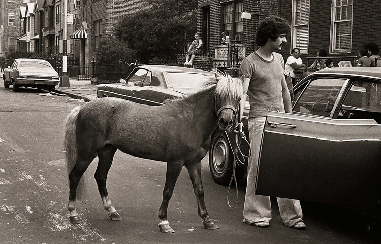 Poster Is He Really Trying to Fit Me in There Again?