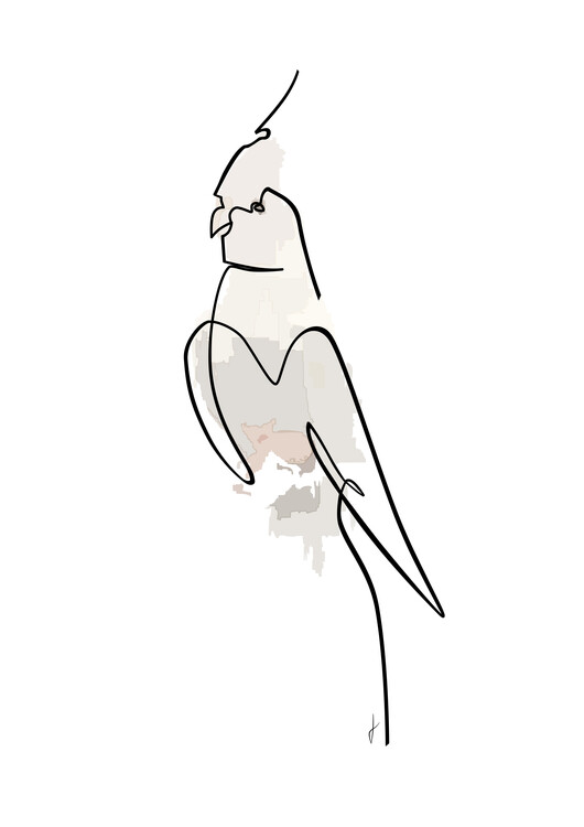 Poster Papagalo colore