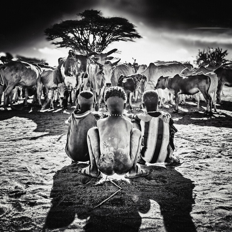 Poster bull jumping series 3