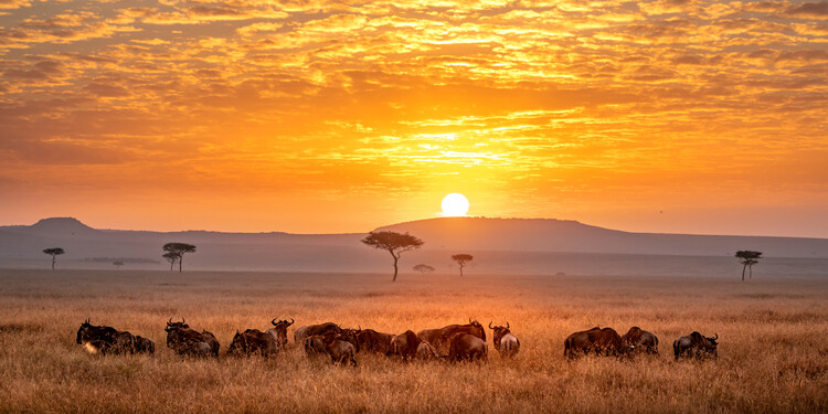 Canvas Print Sunrise