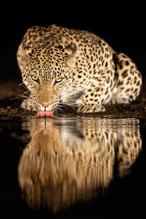 Poster Single mother