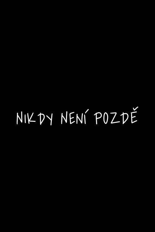 Плакат Nikdy není pozdě 2