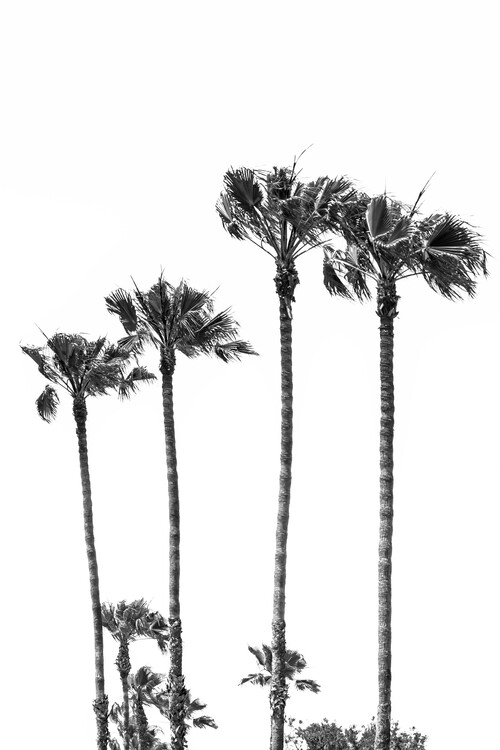 T-shirt Palm Trees at the beach