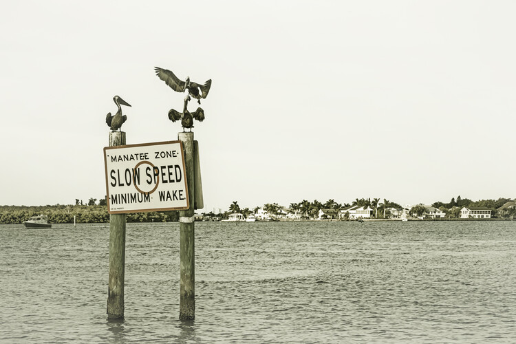 Плакат Coastal View from Fort Myers Beach | Vintage