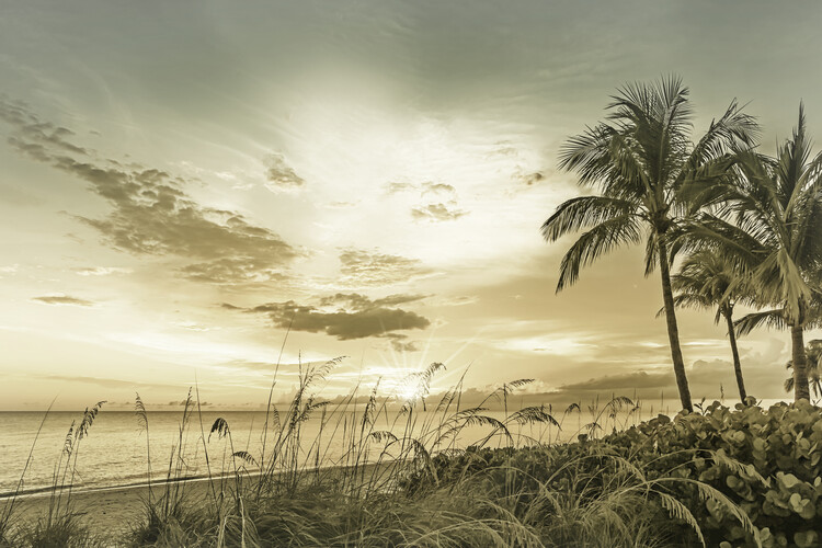 Levně Plakát, Obraz - BONITA BEACH Sunset | Vintage, Melanie Viola, 40 × 26.7 cm