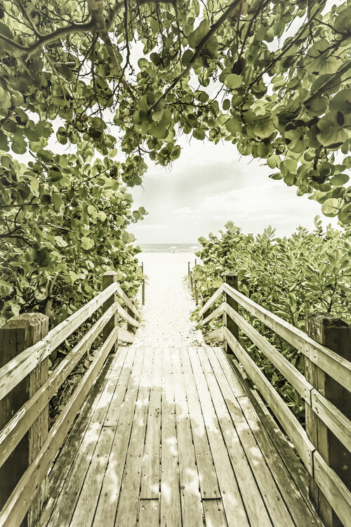 Wall Mural Bridge to the beach with mangroves | Vintage