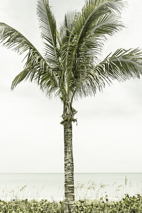 T-shirt Palm Tree at the beach | Vintage
