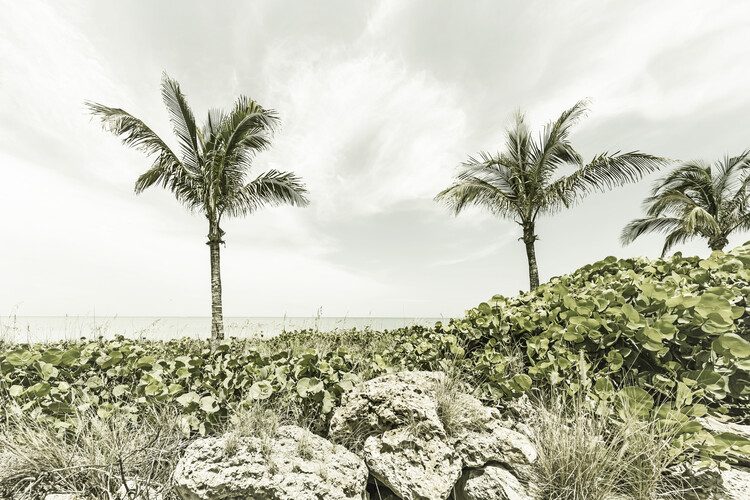 T-shirt Captiva Island | Vintage
