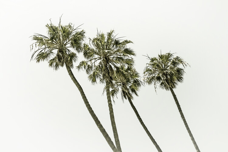 T-shirt Palm trees by the sea | Vintage